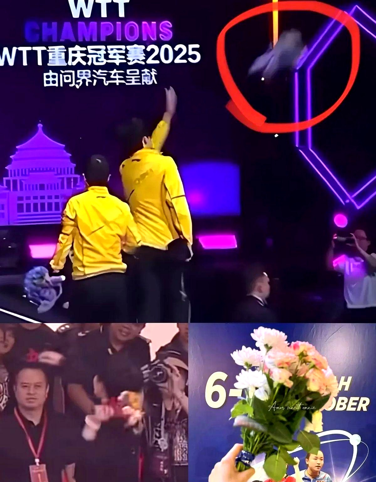 开云-Ning重返赛场，败北首场状态出色，加拿大队观众沸腾！-开云